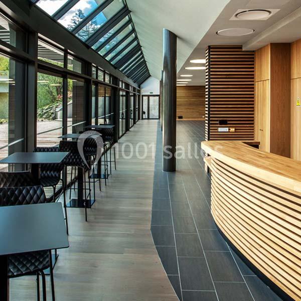 Location salle Allonzier-la-Caille (Haute-Savoie) - L'espace Des Bains #14