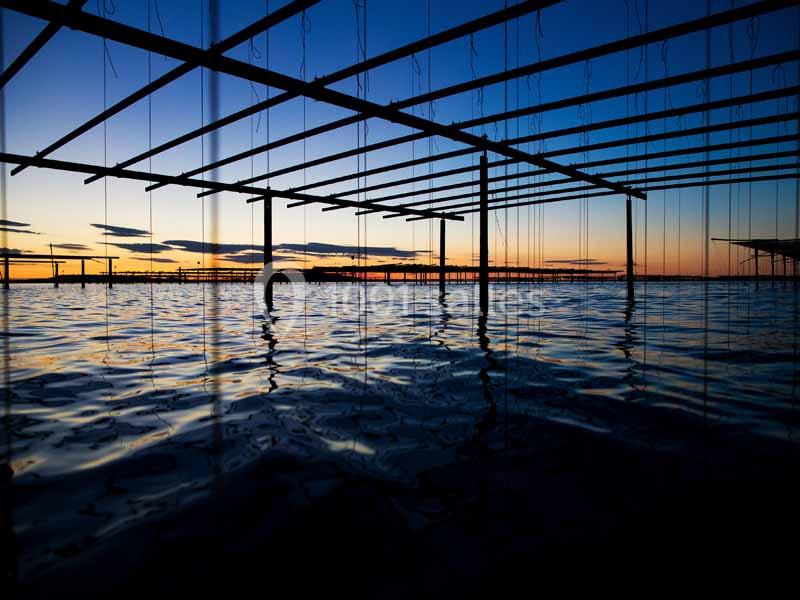 Location salle Marseillan (Hérault) - Le Mange Debout #9