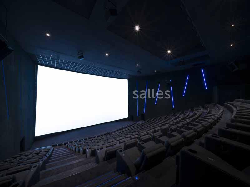 Salle de cinéma vide avec un grand écran blanc allumé et des rangées de sièges inclinés.