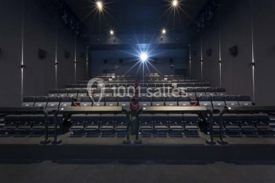 Location salle Paris 19 (Paris) - Pathé La Villette #24