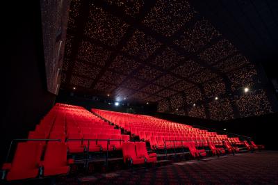 Salle de cinéma vide avec des rangées de fauteuils rouges et un plafond décoré de lumières étoilées.