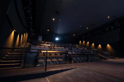 Salle de cinéma vide avec des rangées de fauteuils rouges et un plafond décoré de lumières étoilées.