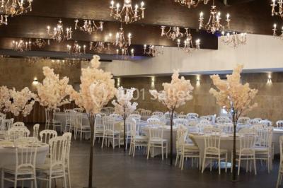 Location salle Goussainville (Val-d'Oise) - La Rose d'Anamour #9