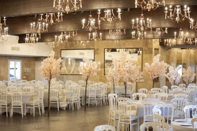 Location salle Goussainville (Val-d'Oise) - La Rose d'Anamour #9