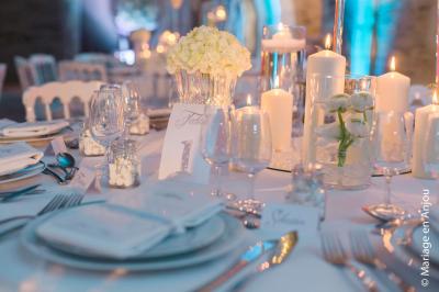 Location salle Avrillé (Maine-et-Loire) - Château De La Perrière #18