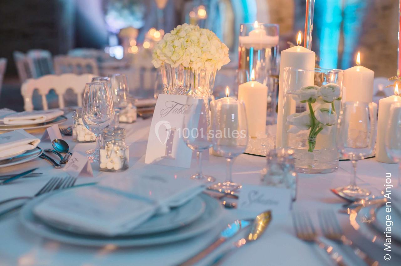 Location salle Avrillé (Maine-et-Loire) - Château De La Perrière #11