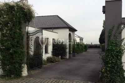 Jardin verdoyant avec pelouse, parterres fleuris, lampadaires verts et haies, entouré d'arbres sous un ciel dégagé.