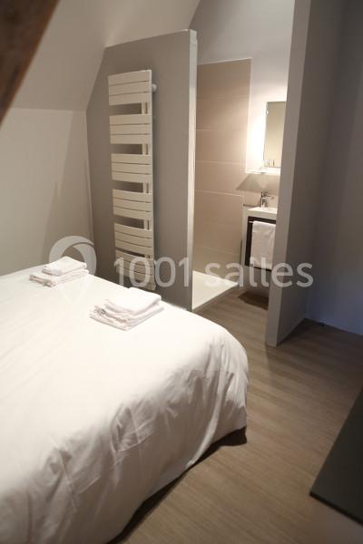 Chambre avec lit double, linge de lit blanc, salle de bain attenante avec douche et radiateur mural.