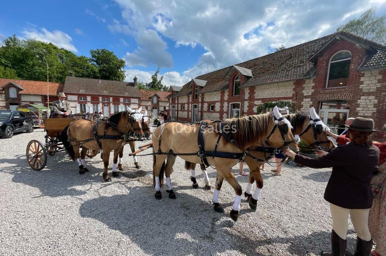 Deux chevaux attelés à une calèche dans une cour pavée, entourés de personnes en tenue équestre.