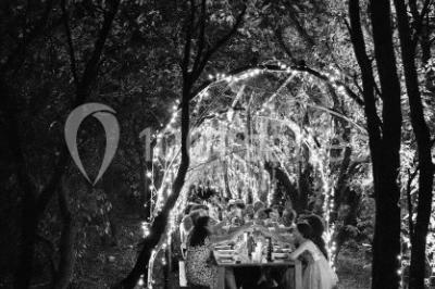 Location salle Laudun-l'Ardoise (Gard) - L'Orangerie du Mas #27