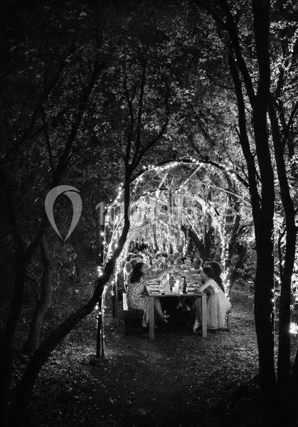 Location salle Laudun-l'Ardoise (Gard) - L'Orangerie du Mas #21