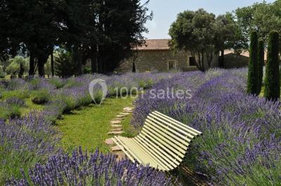 Location salle Laudun-l'Ardoise (Gard) - L'Orangerie du Mas #27
