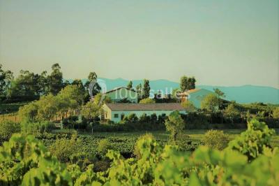 La Campagne de Jean Loup La Campagne de Jean Loup