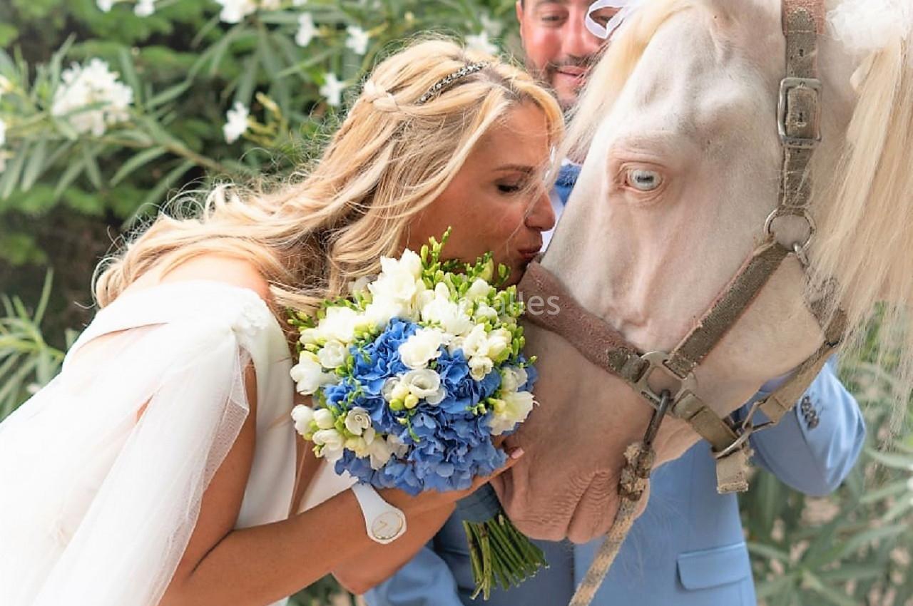 Une femme en robe blanche embrasse un cheval blanc, tenant un bouquet de fleurs bleues et blanches, devant un homme souriant.