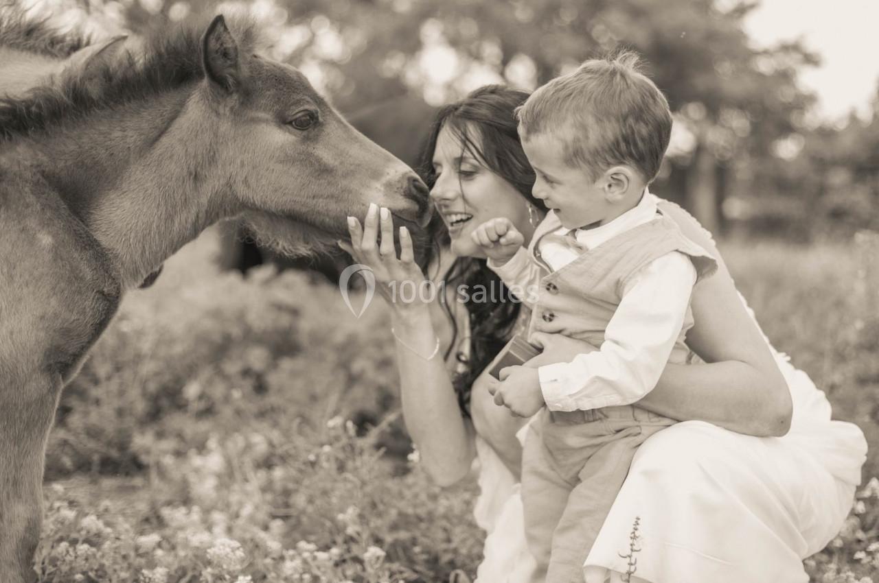 Une femme et un enfant interagissent avec un poulain dans un champ, créant un moment tendre et naturel.