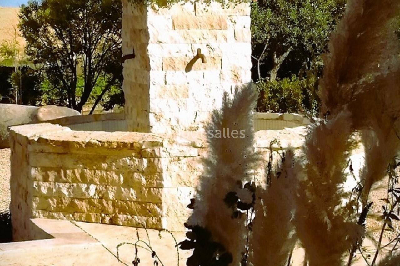 Fontaine en pierre ornée de fleurs et de pampas, entourée de végétation sous un ciel bleu.
