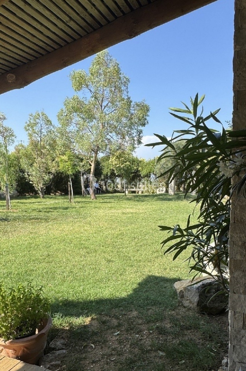 Vue d'un jardin verdoyant avec des arbres, prise depuis une terrasse ombragée avec des plantes en pot au premier plan.