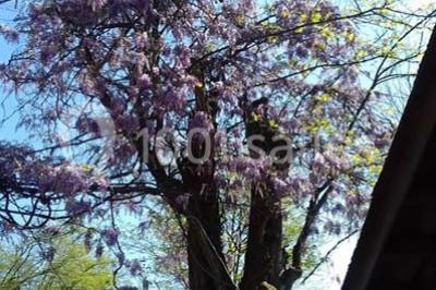 Location salle Saint-Genis-les-Ollières (Rhône) - La Cascade #24