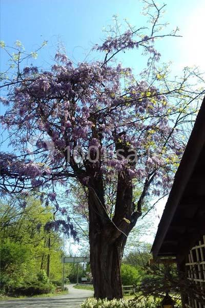 Location salle Saint-Genis-les-Ollières (Rhône) - La Cascade #18