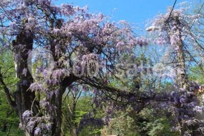 Location salle Saint-Genis-les-Ollières (Rhône) - La Cascade #24