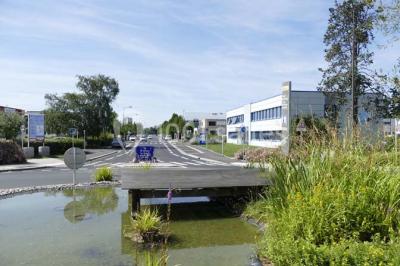 Un petit pont en bois traverse un bassin entouré de végétation, avec une route et des bâtiments en arrière-plan.