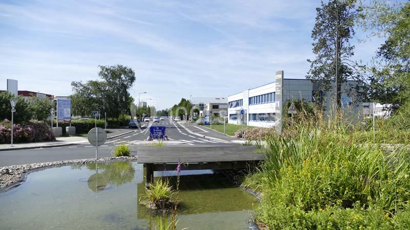 Un petit pont en bois traverse un bassin entouré de végétation, avec une route et des bâtiments en arrière-plan.
