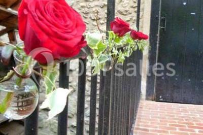 Cibles de tir à l'arc alignées sur un terrain herbeux, entourées d'arbres, avec deux personnes à proximité.