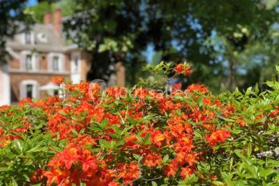 Maison en briques et crépi avec jardin, panneau de bienvenue pour un mariage au premier plan.