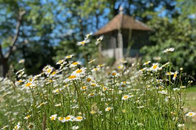Maison en briques et crépi avec jardin, panneau de bienvenue pour un mariage au premier plan.