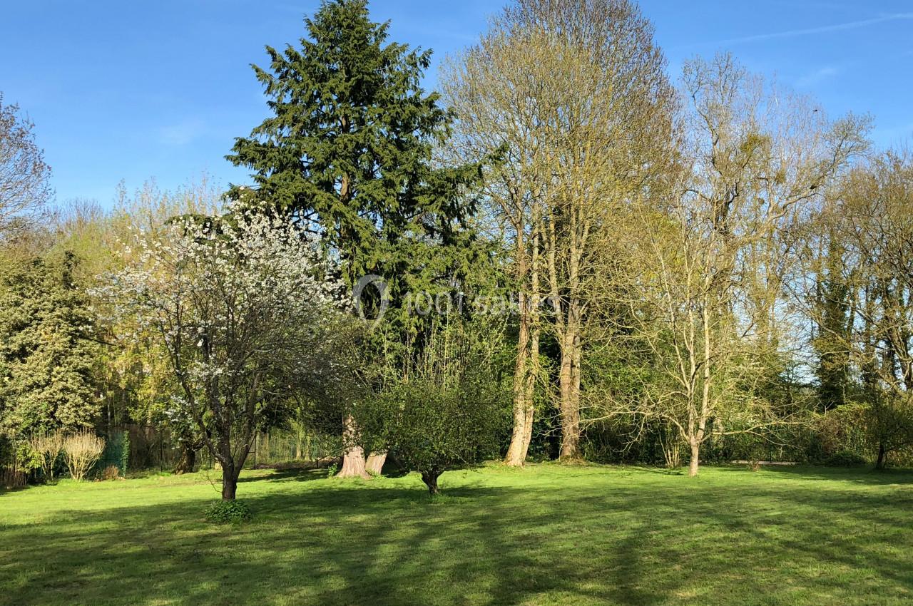 Pelouse verdoyante entourée d'arbres feuillus et fleuris sous un ciel bleu clair.