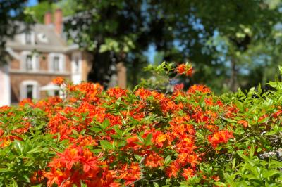 Maison en briques et crépi avec jardin, panneau de bienvenue pour un mariage au premier plan.