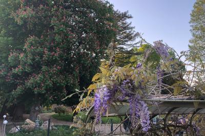 Maison en briques et crépi avec jardin, panneau de bienvenue pour un mariage au premier plan.