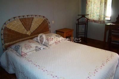 Chambre rustique avec lits simples en bois, lits superposés, murs colorés et plafond en bois incliné.