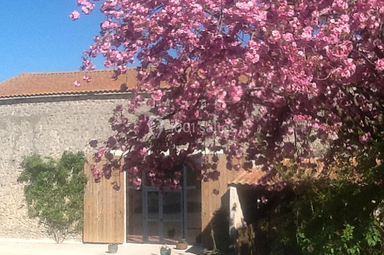 Arbre en fleurs roses devant un bâtiment en pierre avec une porte en bois, sous un ciel bleu clair.