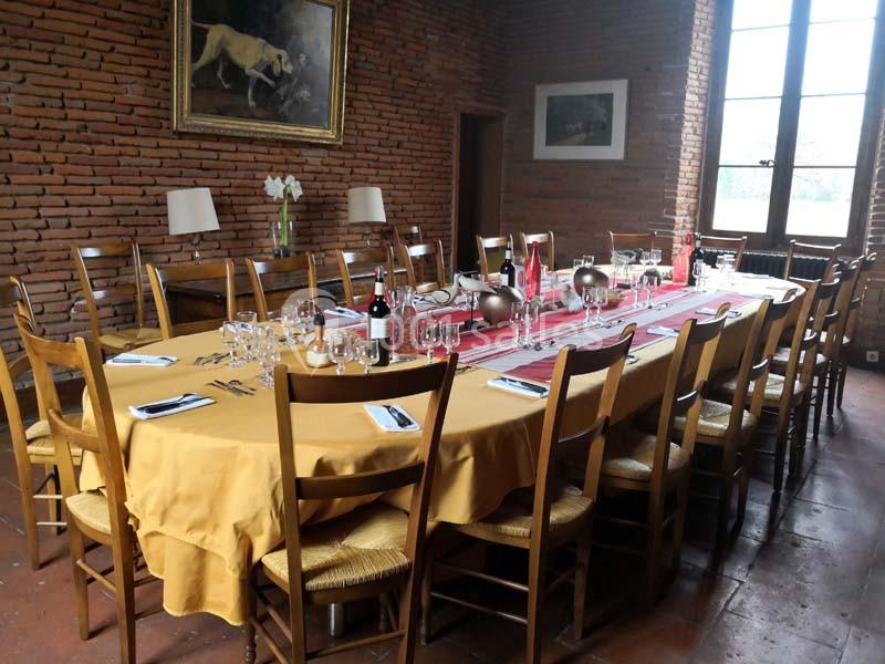 Location salle Cornebarrieu (Haute-Garonne) - Château De Pontié #7