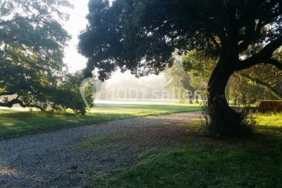 Location salle Cornebarrieu (Haute-Garonne) - Château De Pontié #23