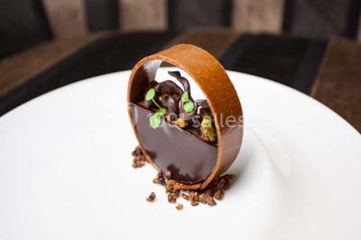 Location salle Chasseneuil-du-Poitou (Vienne) - Château Du Clos De La Ribaudière #24