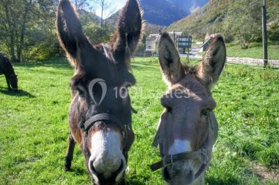 Location salle Bagnères-de-Bigorre (Hautes-Pyrénées) - Domaine De Ramonjuan 65 #16