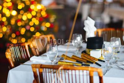 Location salle Saint-Sulpice (Tarn) - Le Manoir Du Thouron #16