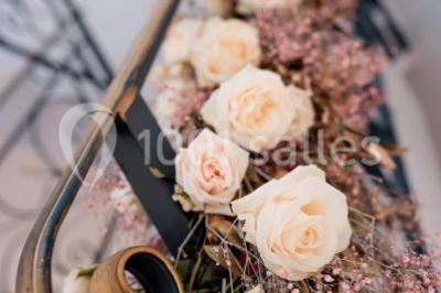 Illustration en noir et blanc de grilles ouvertes devant des arbres, avec le texte ’Victoria Park, l'événementiel autrement’.