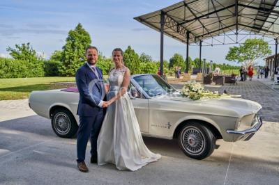 Groupe de personnes réunies en extérieur sous une structure métallique, devant un bâtiment en pierre et bois.
