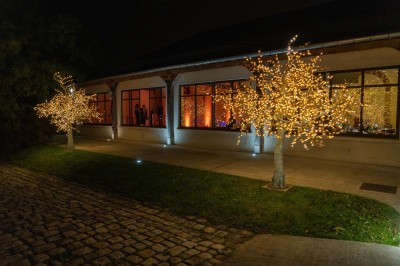 Feu d'artifice illuminant le ciel nocturne au-dessus d'un espace extérieur avec arbres et structure éclairée.