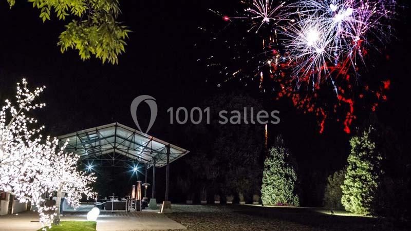 Feu d'artifice illuminant le ciel nocturne près d'un espace extérieur éclairé et entouré d'arbres.