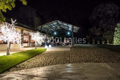 Bâtiment éclairé avec des fenêtres rouges, arbres décorés de lumières blanches et allée pavée de nuit.