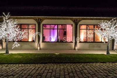 Bâtiment éclairé avec des fenêtres rouges, arbres décorés de lumières blanches et allée pavée de nuit.