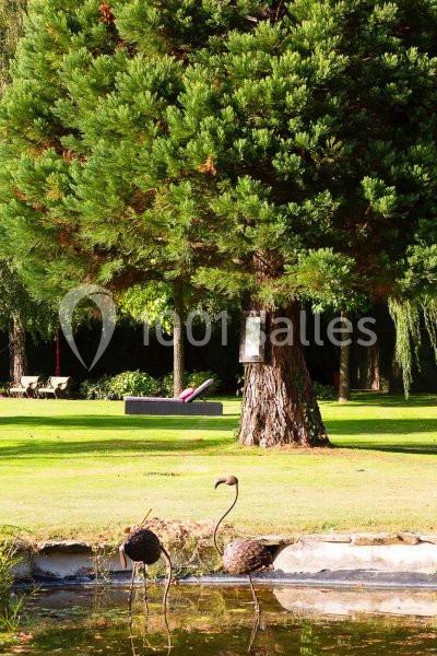 Location salle La Falaise (Yvelines) - Le Domaine de Géline #8