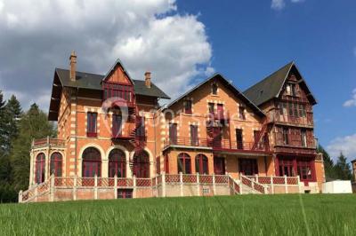 Château de la Luziere