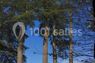 Miniature Location salle La Ferté-Saint-Aubin (Loiret) - Château de la Luziere #22 Location salle La Ferté-Saint-Aubin (Loiret) - Château de la Luziere #22