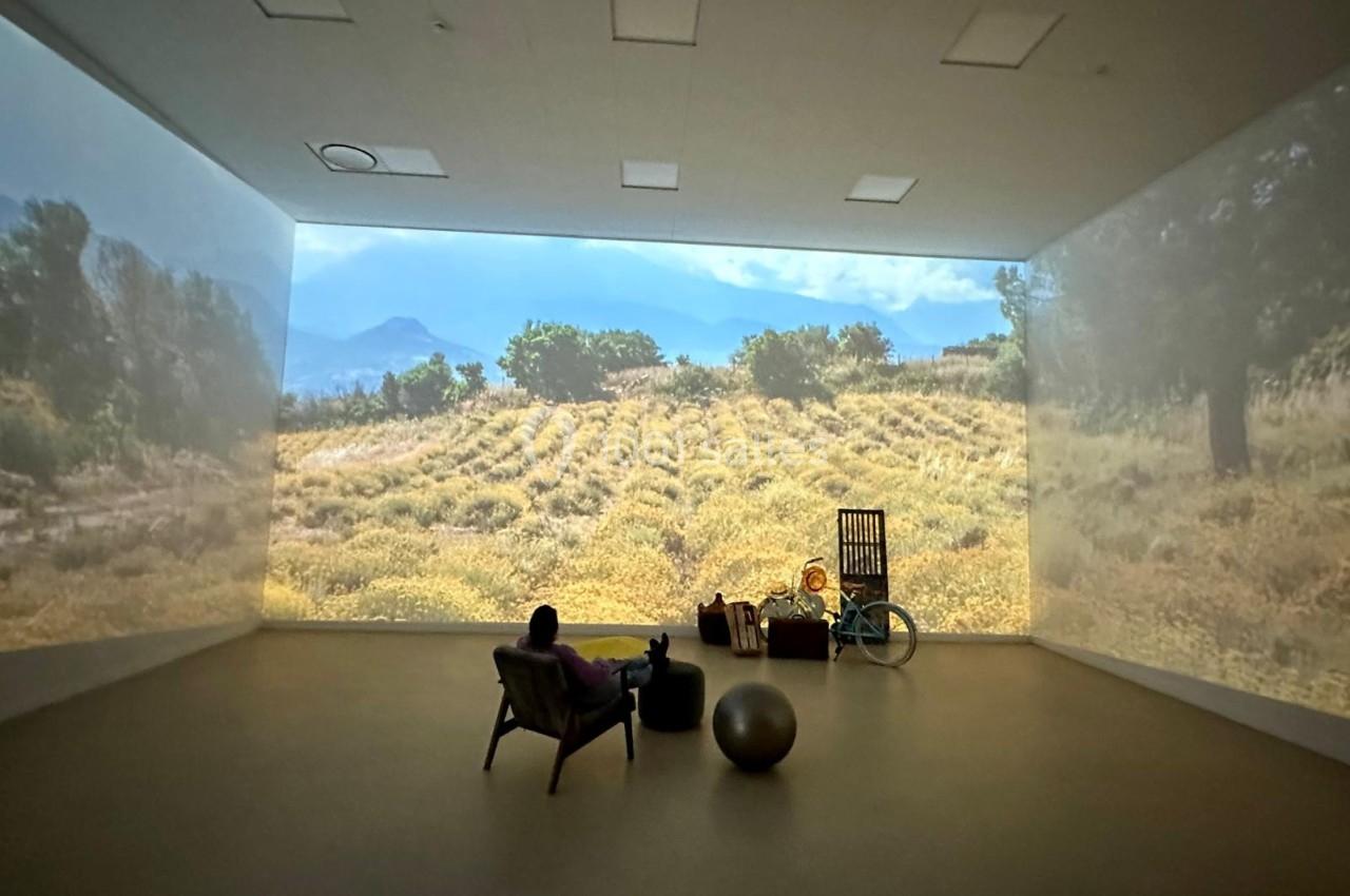 Projection immersive d'un paysage rural avec champs et montagnes, une personne assise dans une pièce sombre.