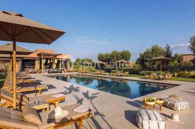 Cloison décorative ajourée en bois sombre devant une baignoire avec robinetterie métallique, lumière naturelle en arrière…